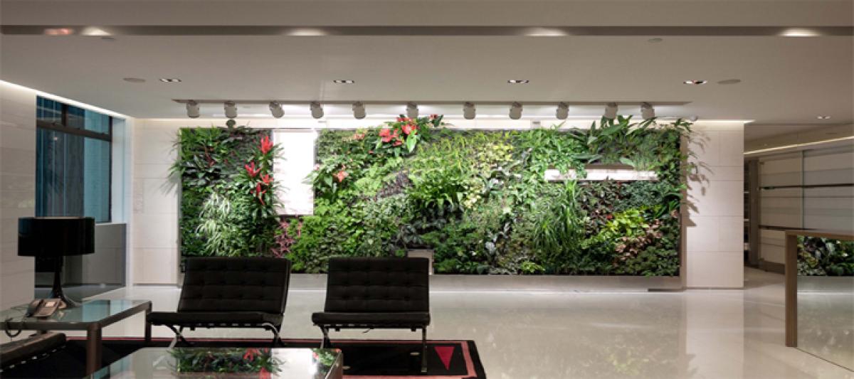 Living green walls, not so green for office workers